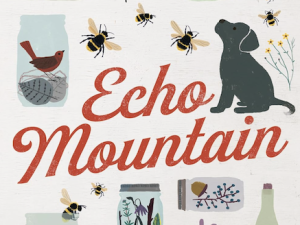 Echo Mountain (Book Review)